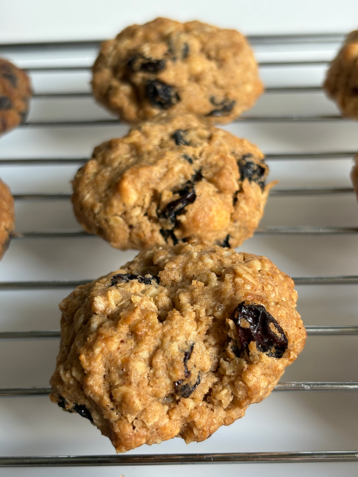 Oatmeal Raisin